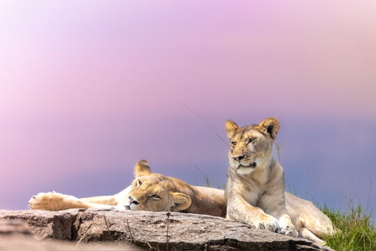 When is the best time to visit Tanzania?