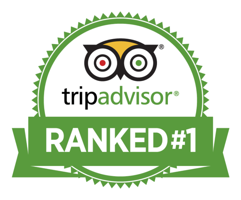 Ranked #1 on TripAdvisor