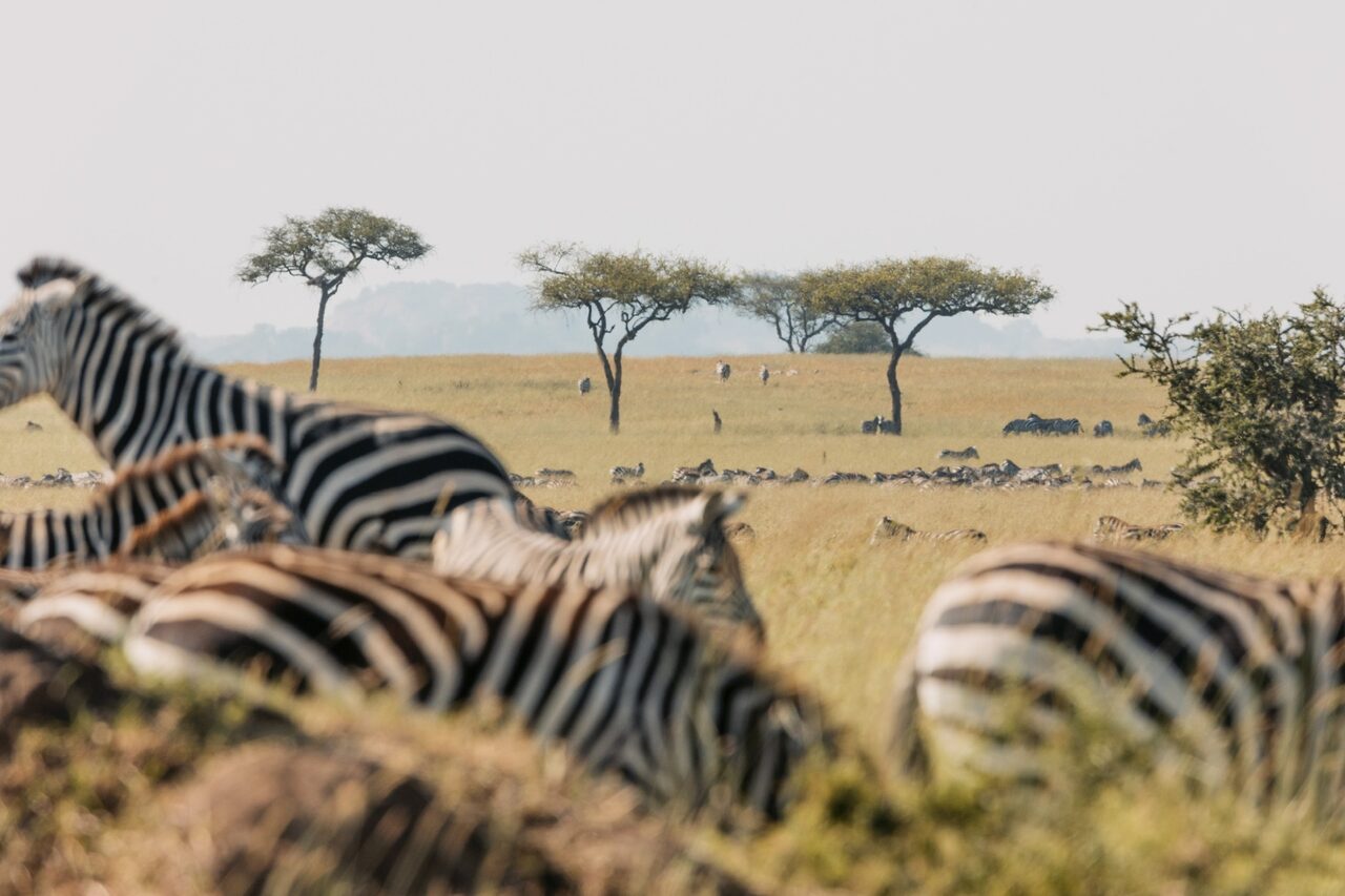Choosing your Kilimanjaro route